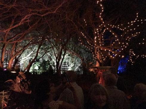 The final set for Wonderland by night. A fairy land of lights.